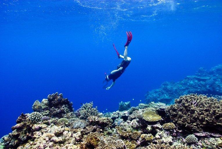 浦发银行泰安分行启动2024年龙腾虎跃零售业务擂主争霸赛
